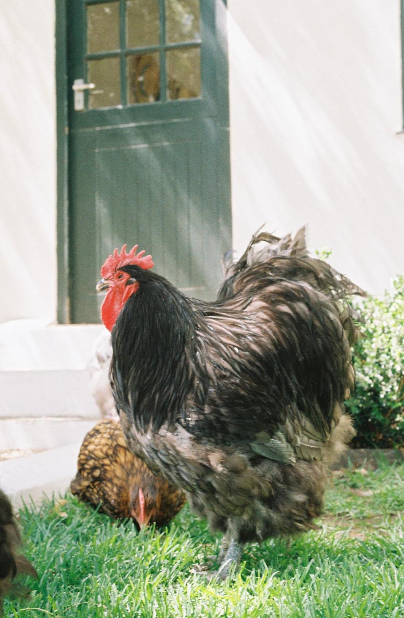 伍斯特Eikehof Farm公寓 外观 照片